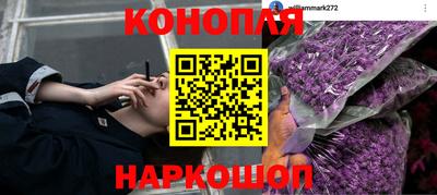 не бодяженный Краснодар