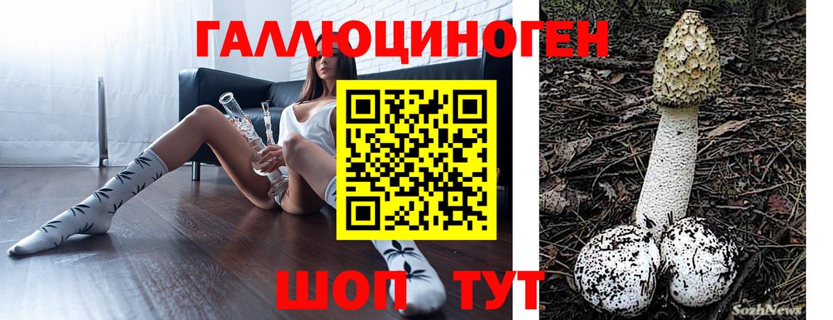 Псилоцибиновые грибы Magic Shrooms Туапсе