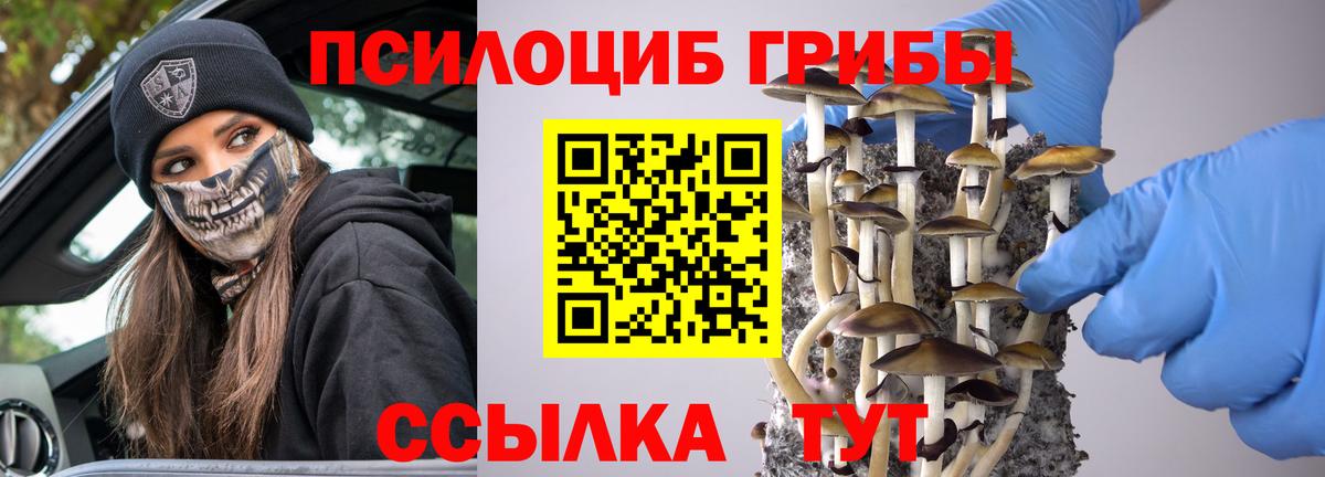 Туапсе  Псилоцибиновые грибы Magic Shrooms  Вход с VPN  Галлюциногенные грибы мухоморы 